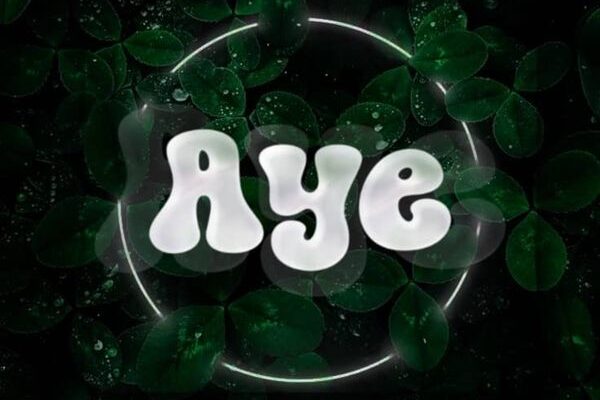 Professional Beat – Aye
