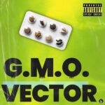 Vector – G.M.O. (Freestyle)